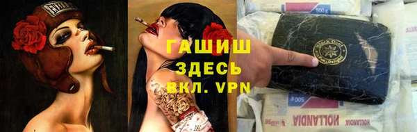 сатива Алзамай