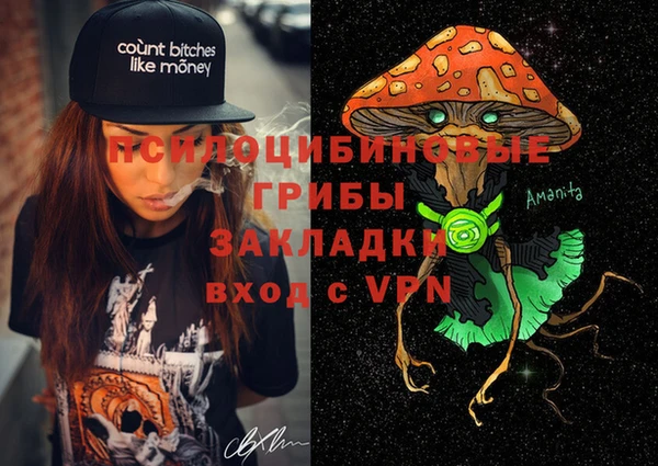 гидра Алексеевка