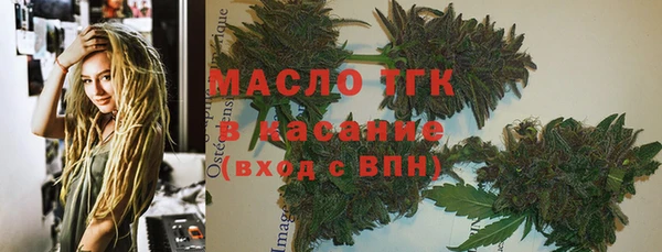 сатива Алзамай