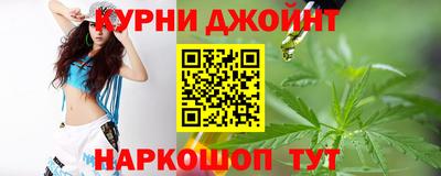 гашик Бийск