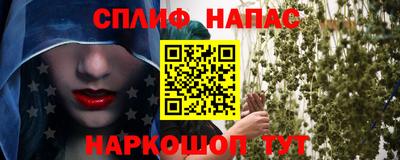 МДПВ Беслан