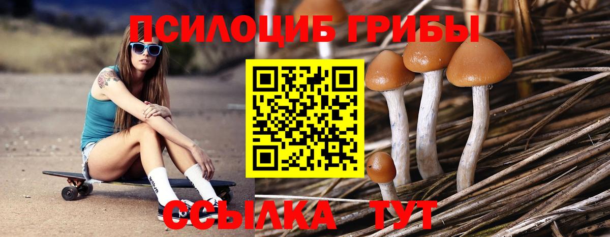 Галлюциногенные грибы мицелий  Вход с VPN  Брянск 